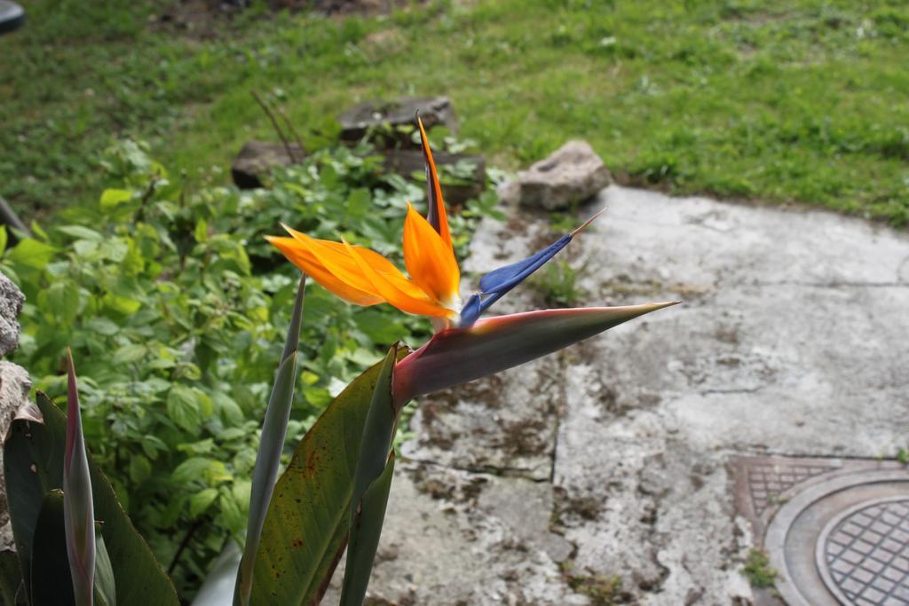 Vila La Eria De Colombres Pokoj fotografie